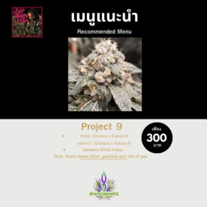 Project 9 Weed - Exotic Genetix